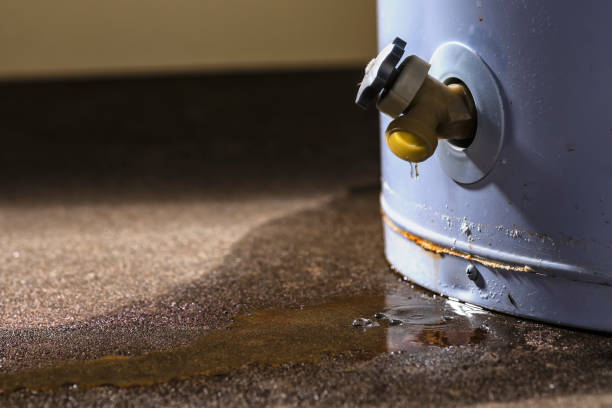 Best Water damage repair service  in Peachtree City, GA