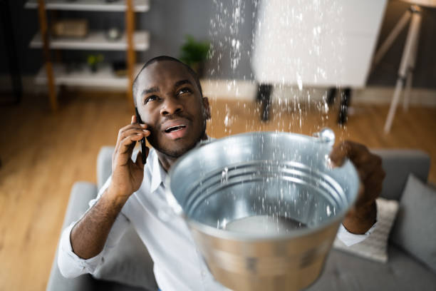 Best Flood restoration services  in Peachtree City, GA