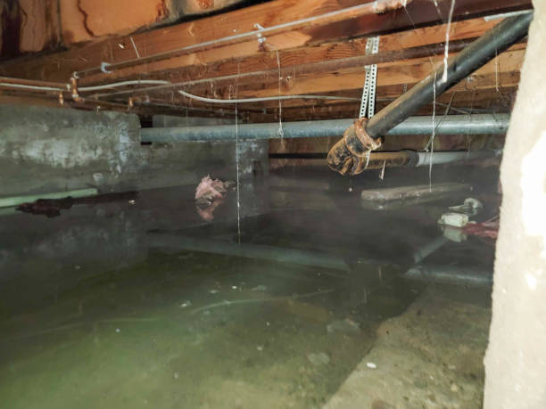 Local water damage restoration in GA