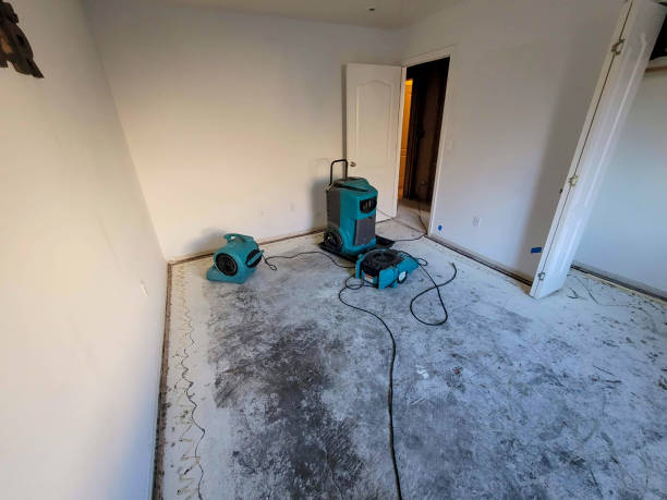 Best Carpet water damage restoration  in Peachtree City, GA