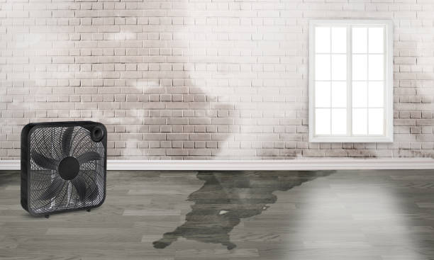 Best Flood damage cleanup  in Peachtree City, GA