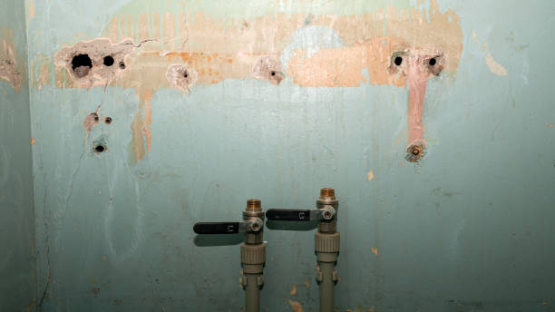 Best Basement water damage restoration  in Peachtree City, GA