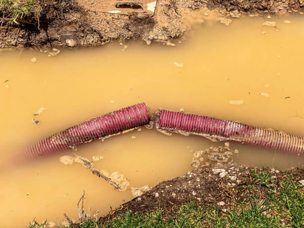 Best Professional water damage repair  in Peachtree City, GA