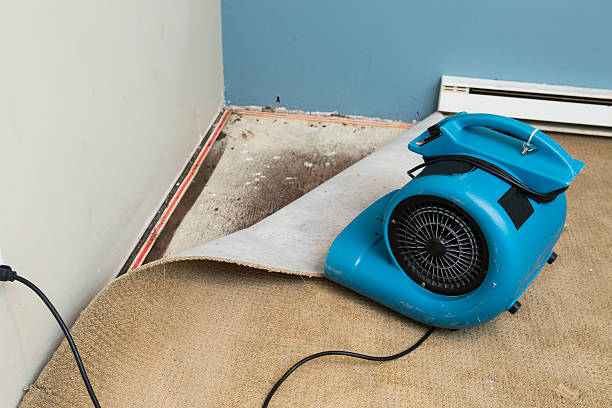 Best Fire Damage Restoration  in Peachtree City, GA